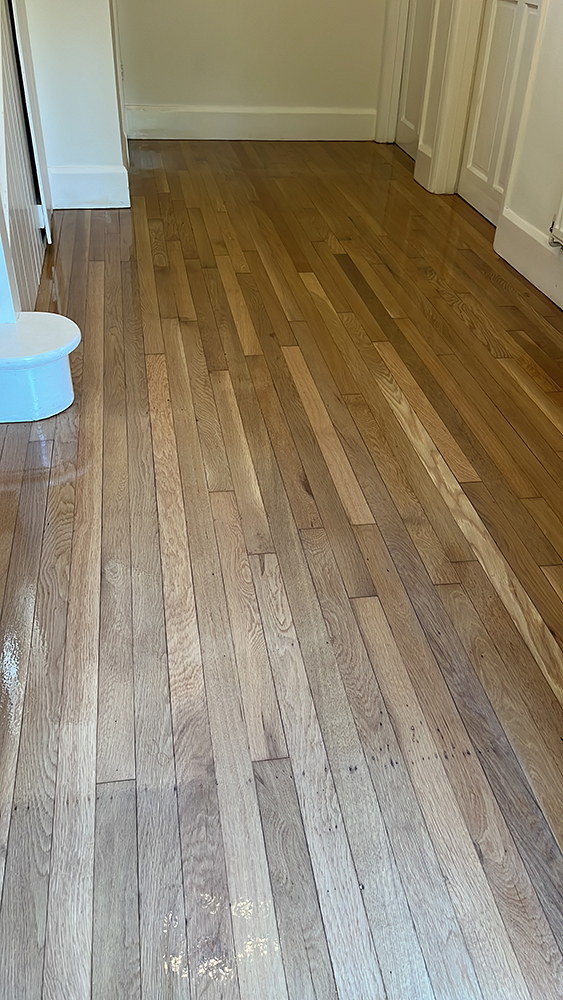 Floor Restoration Devon